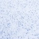 İpek Sıva | Silk Plaster | Diamond 03 | 1/2 BOYUT İpek Sıva | Silk Plaster | Diamond 03 | 1/2 BOYUT